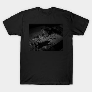 Stuck In The Mud T-Shirt